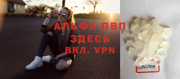 мдпв Новозыбков