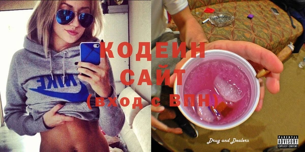 мдпв Новозыбков
