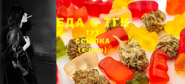 мдпв Новозыбков