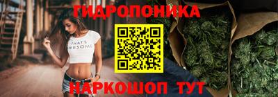 apvp Аргун