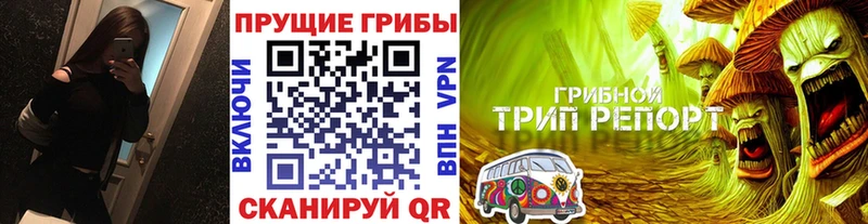 kraken онион  Барнаул  Псилоцибиновые грибы Cubensis  сайты даркнета Telegram  где купить наркотик 