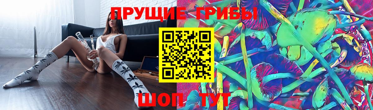 Псилоцибиновые грибы Psilocybe Барнаул