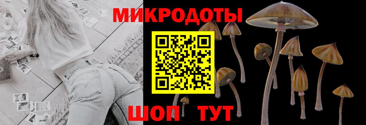 Галлюциногенные грибы Magic Shrooms  Барнаул  Псилоцибиновые грибы MAGIC MUSHROOMS 